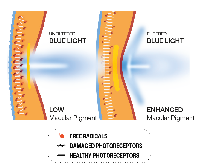 blue-light-diagram